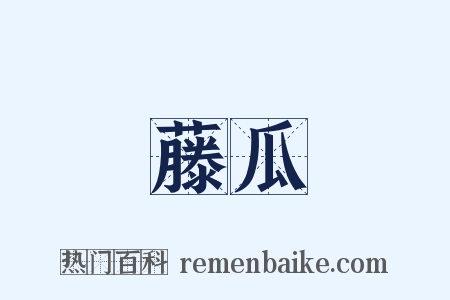 藤瓜是什么意思的图片